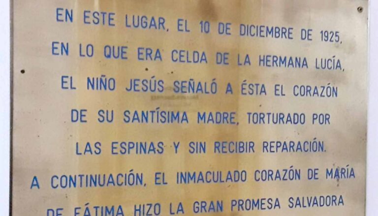 Grupo 11
